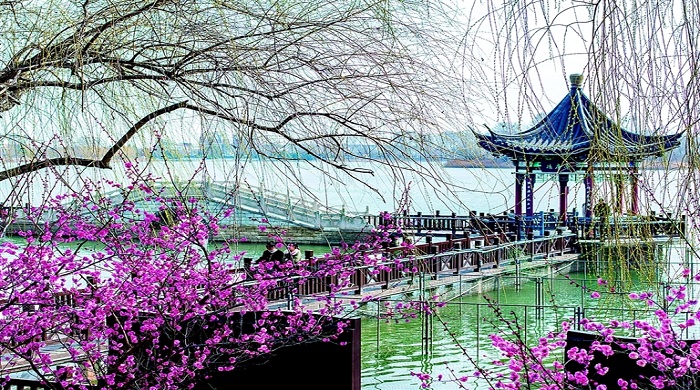 湿地公园 春景如画2.jpg