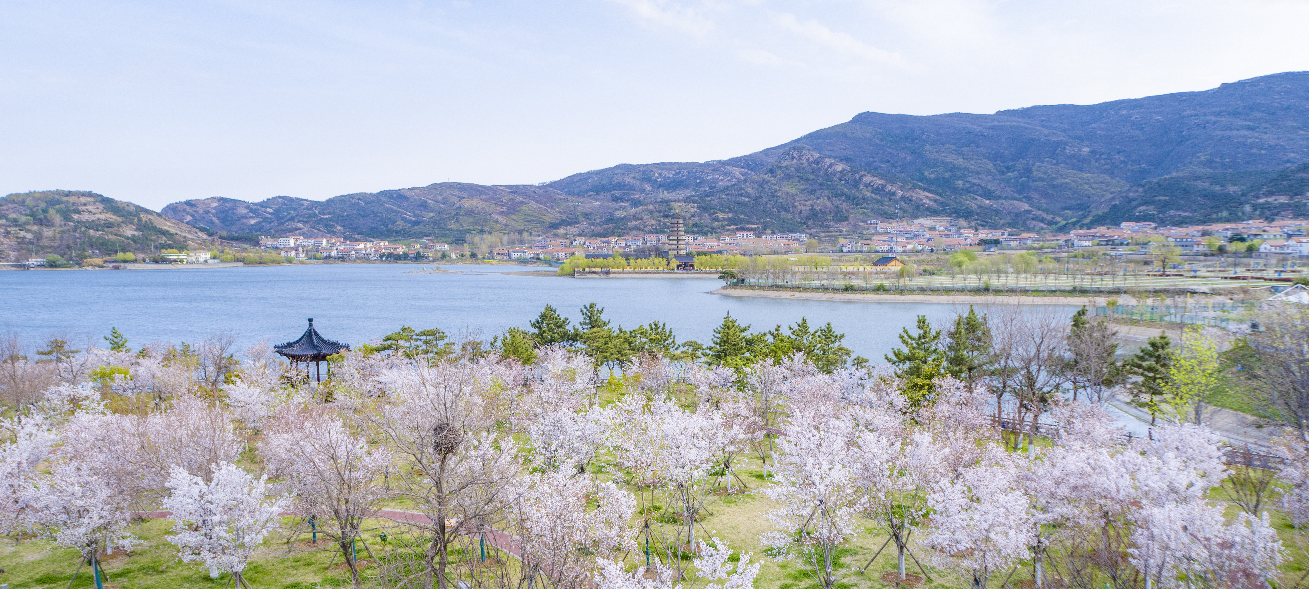 春到花果山+孙艺菡+18105130193.jpg