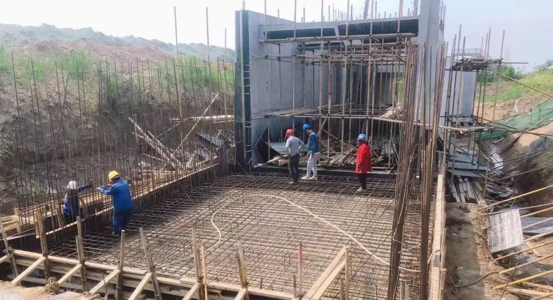 海州：李鋒開展巡河并調(diào)研防汛和幸福河湖工作3.jpg