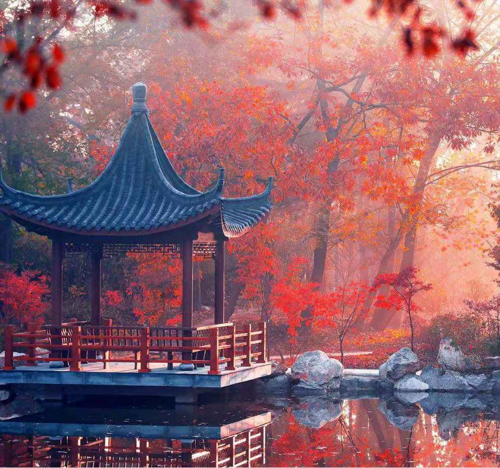 微信图片_20201112171916.png