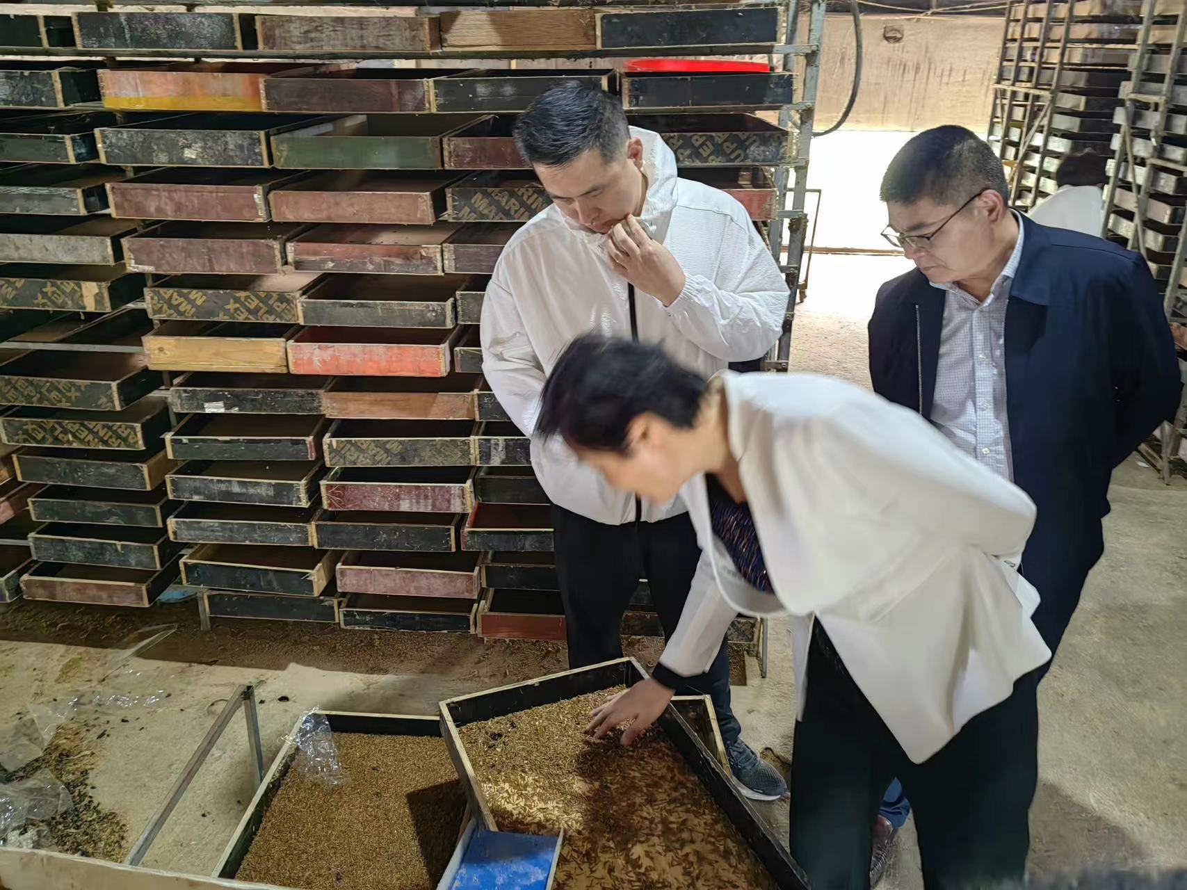 微信图片_20230512095259.jpg