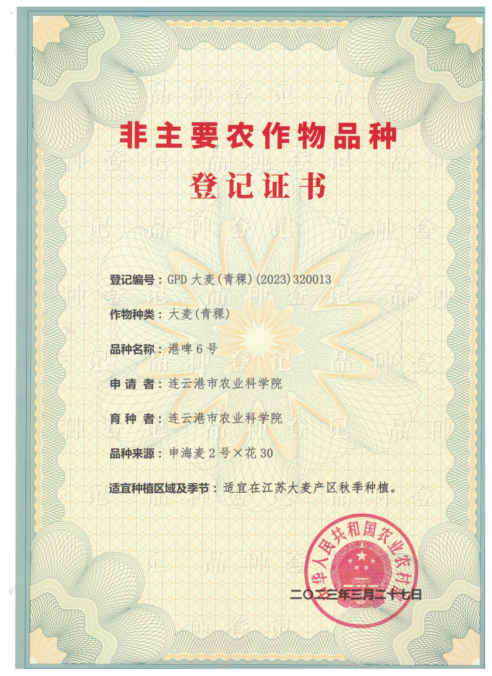 港啤6号登记证书.jpg