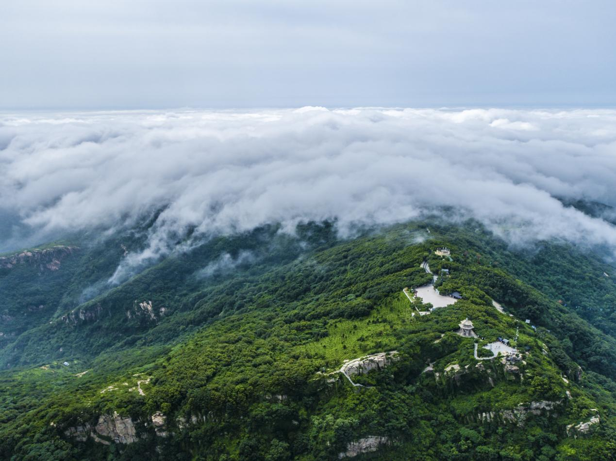花果山.png
