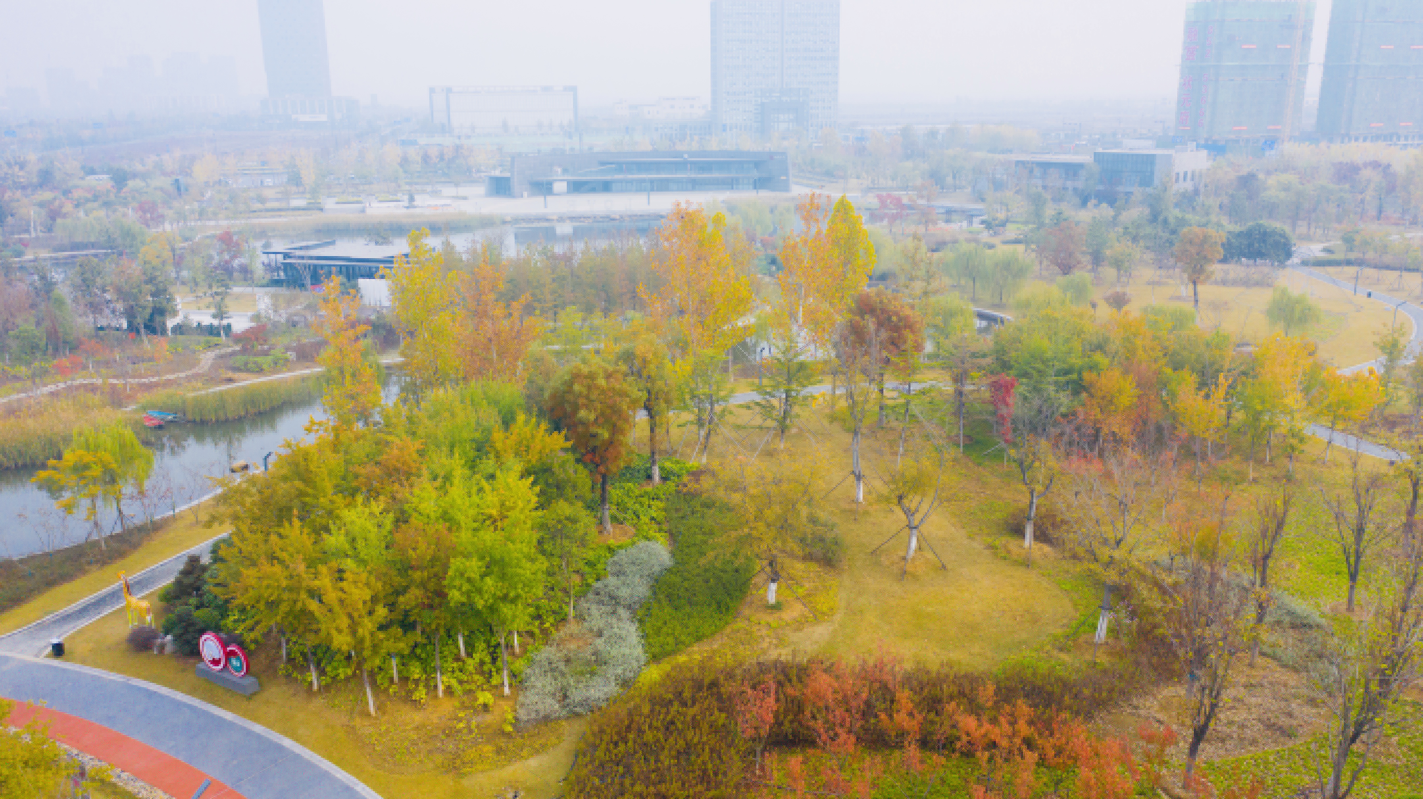 创智绿园 (2).JPG