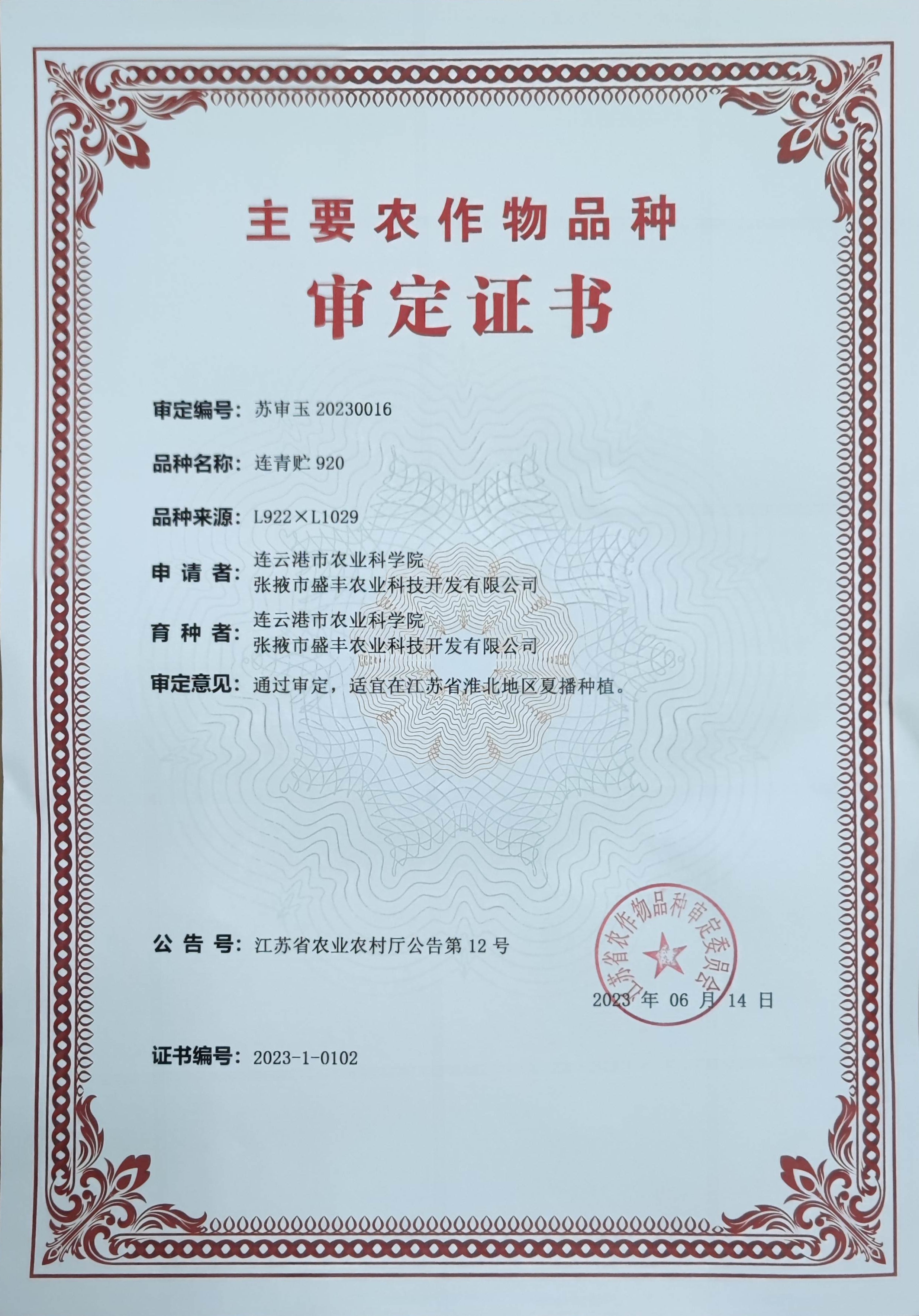 连青贮920审定证书.jpg