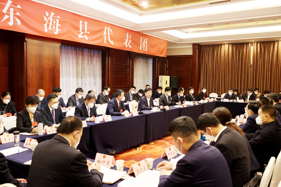 马士光参加东海代表团审议.png
