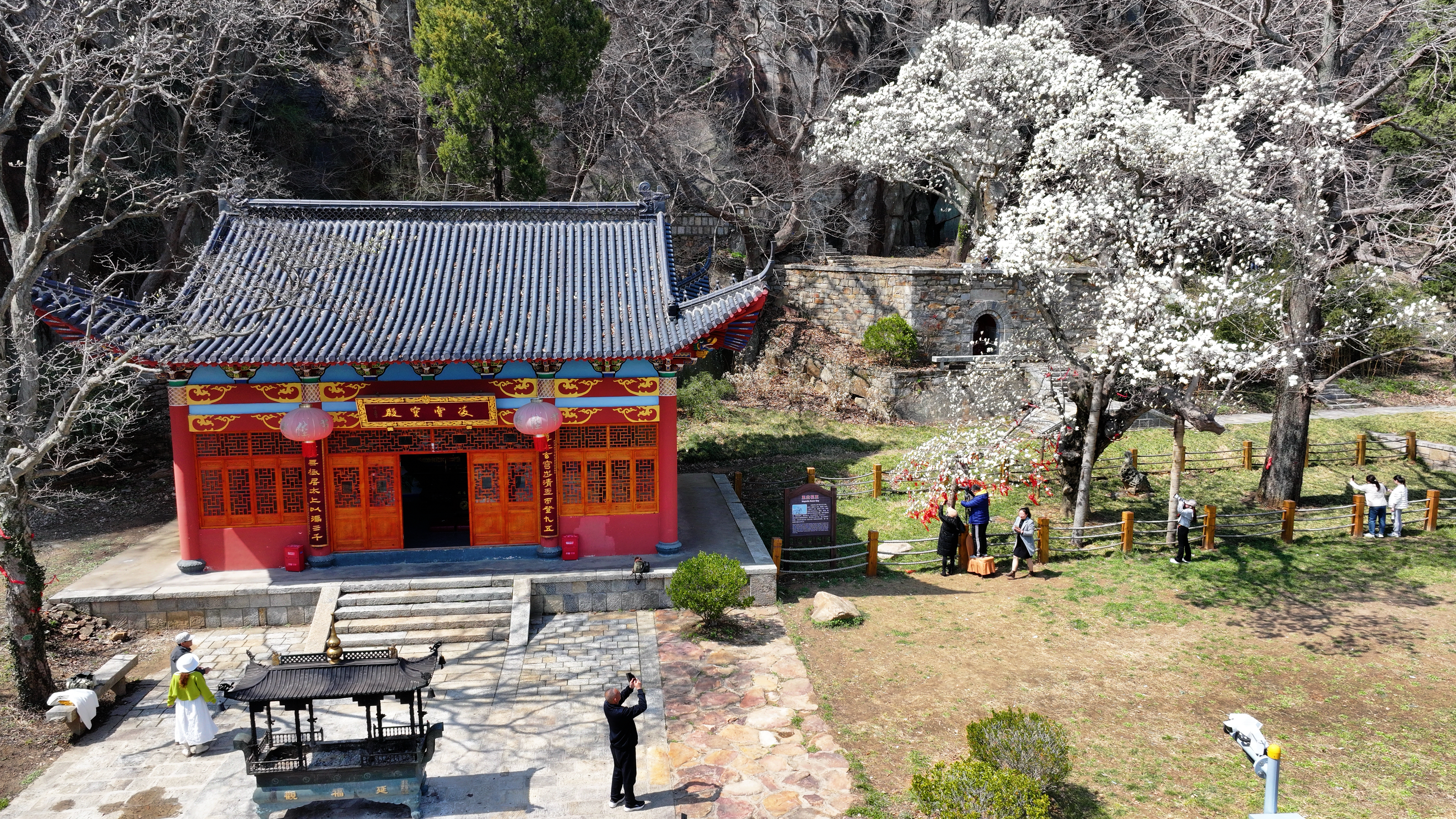延福观玉兰 (5).jpg
