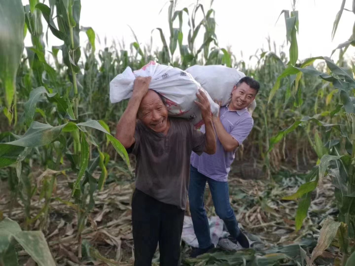 帮助村民收粮食.jpg