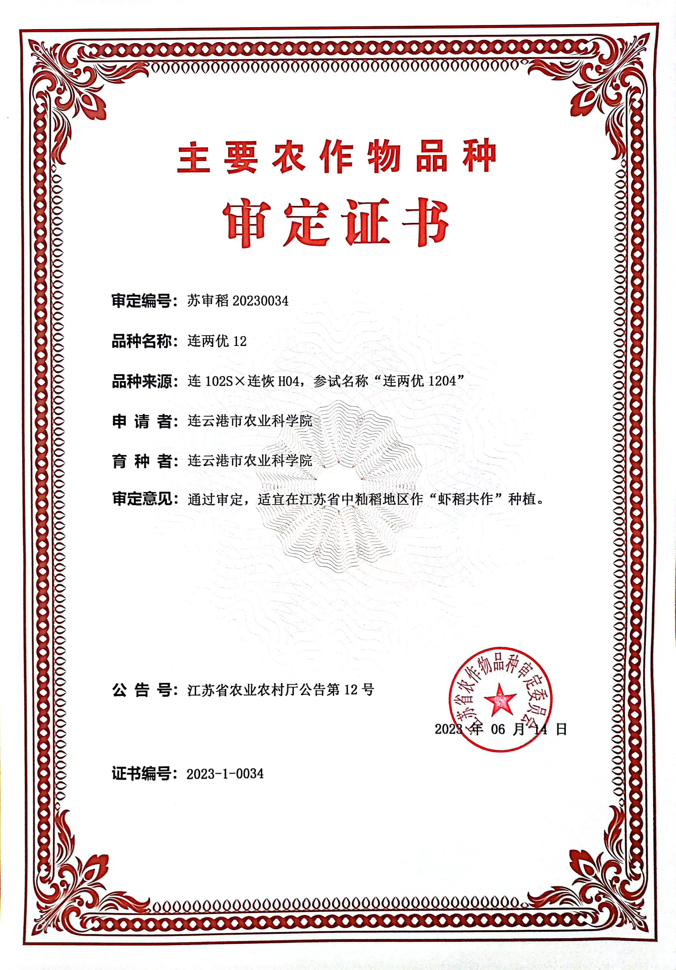 连两优12.jpg