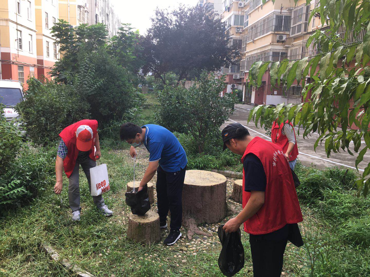 WeChat Image_20200828091923.jpg