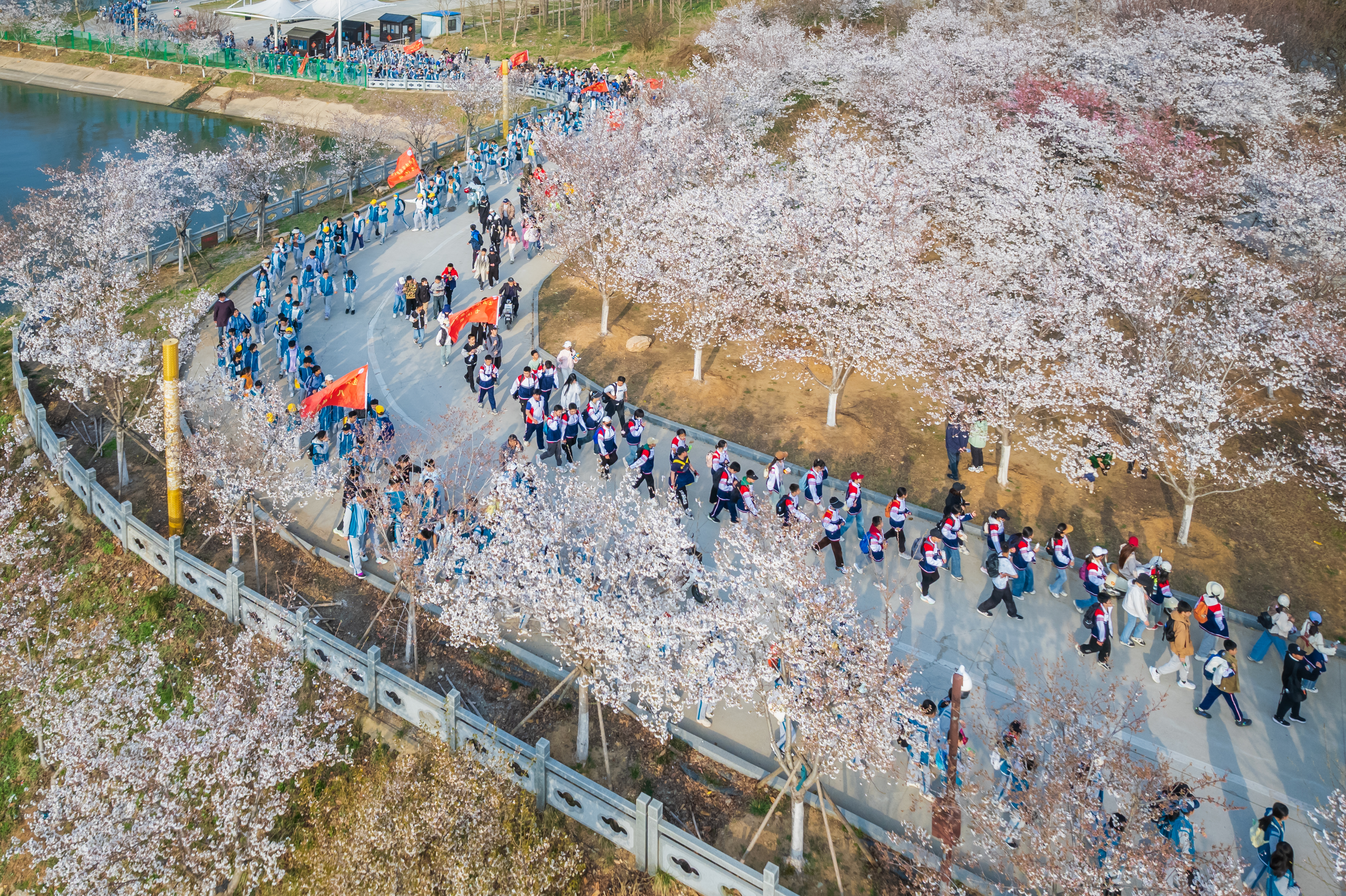 54路恒扬《樱花园春游》.jpg