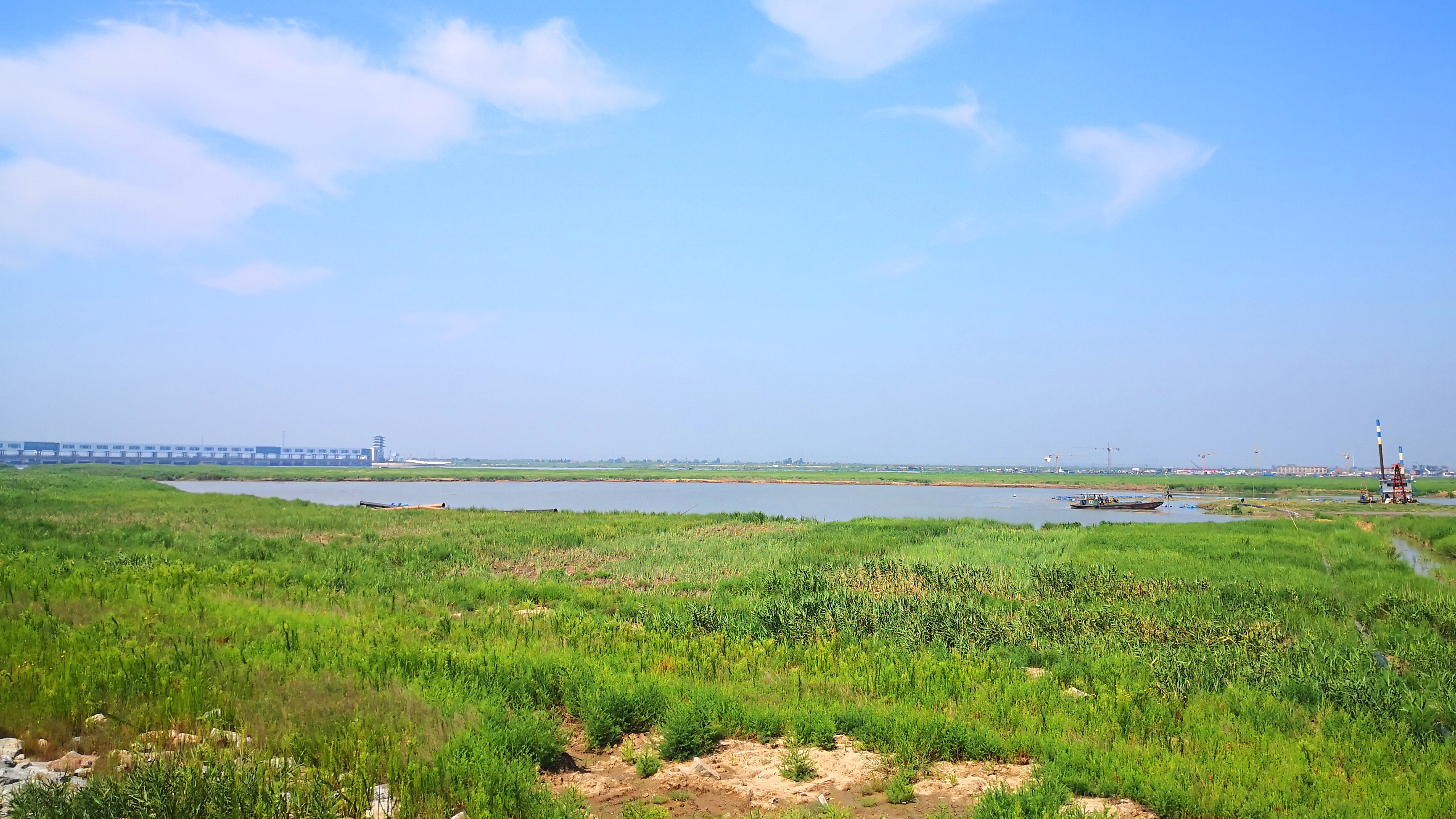 连云新城滨海湿地修复项目照片2.jpg