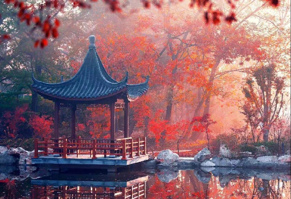 微信图片_20210430144054.jpg