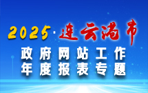 政府网站年度工作报表