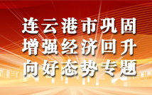 连云港市巩固增强经济回升向好态势专题