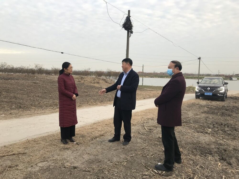 东辛农场河长巡查东辛农场内部河道