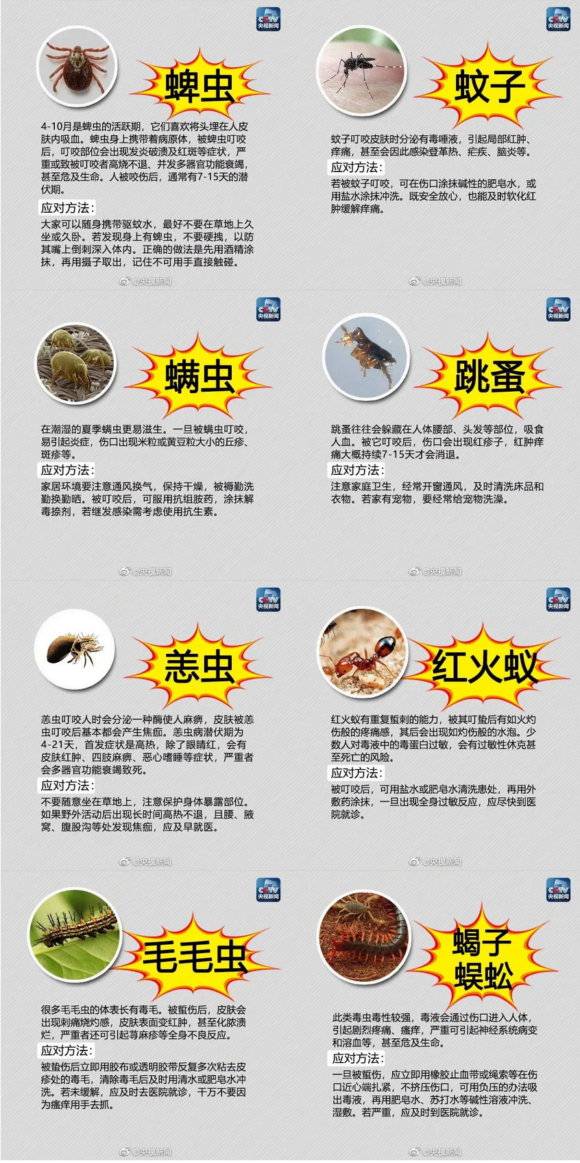 夏季防虫手册及应对方法.png