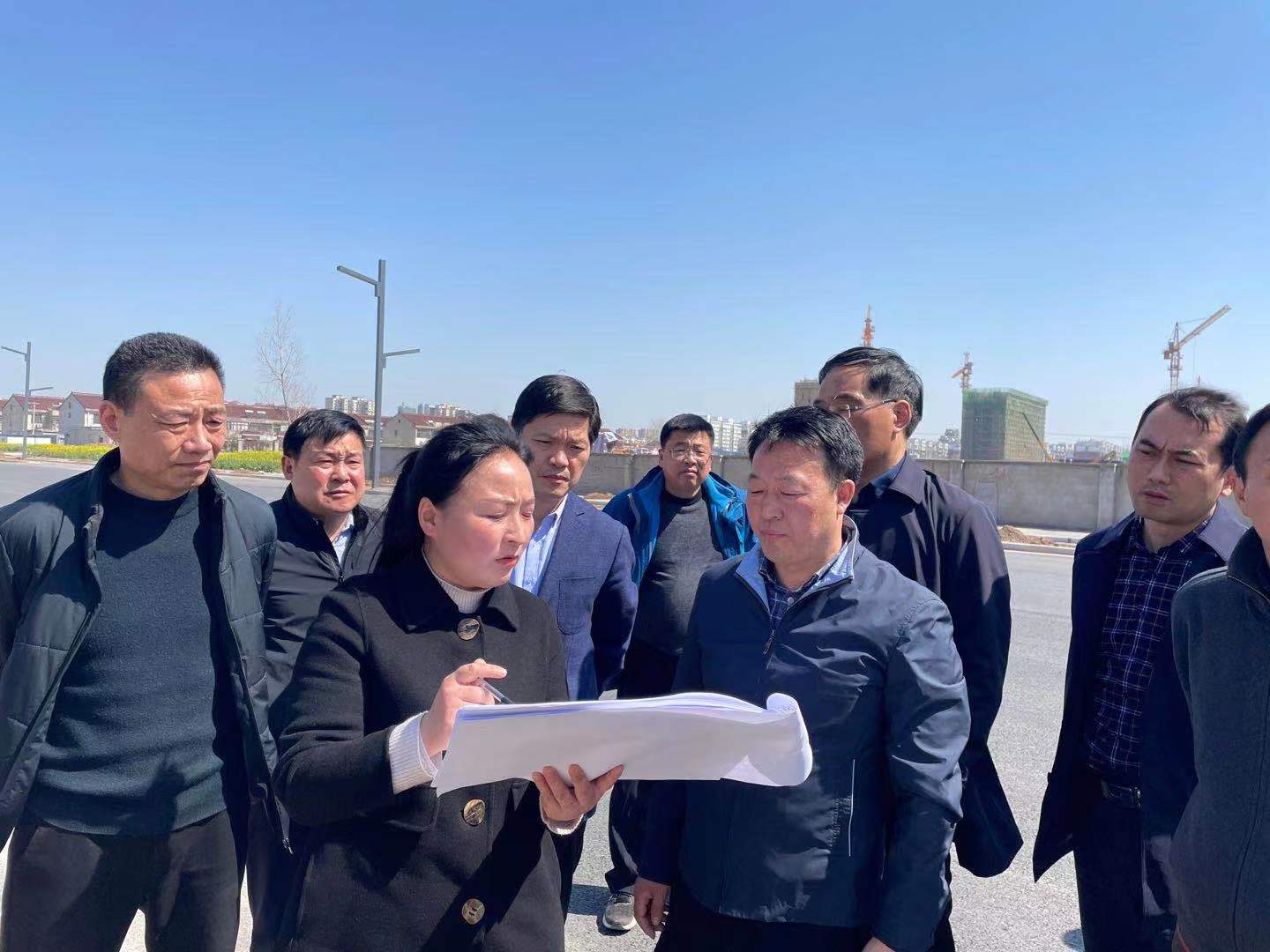 关于城区园林绿化 县长苏卫哲提出新要求