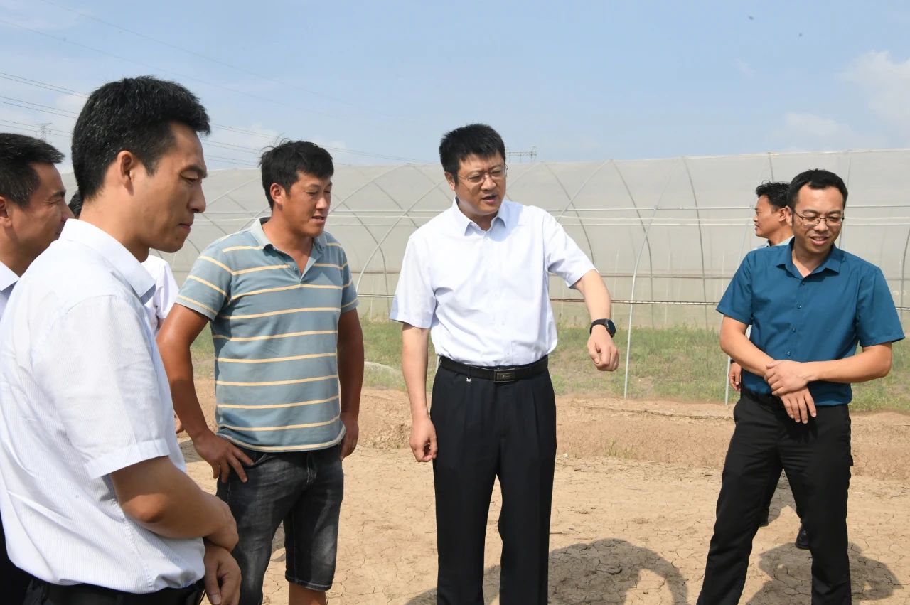 李锋督导农业产业项目建设