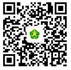 QQ截图20180119172450